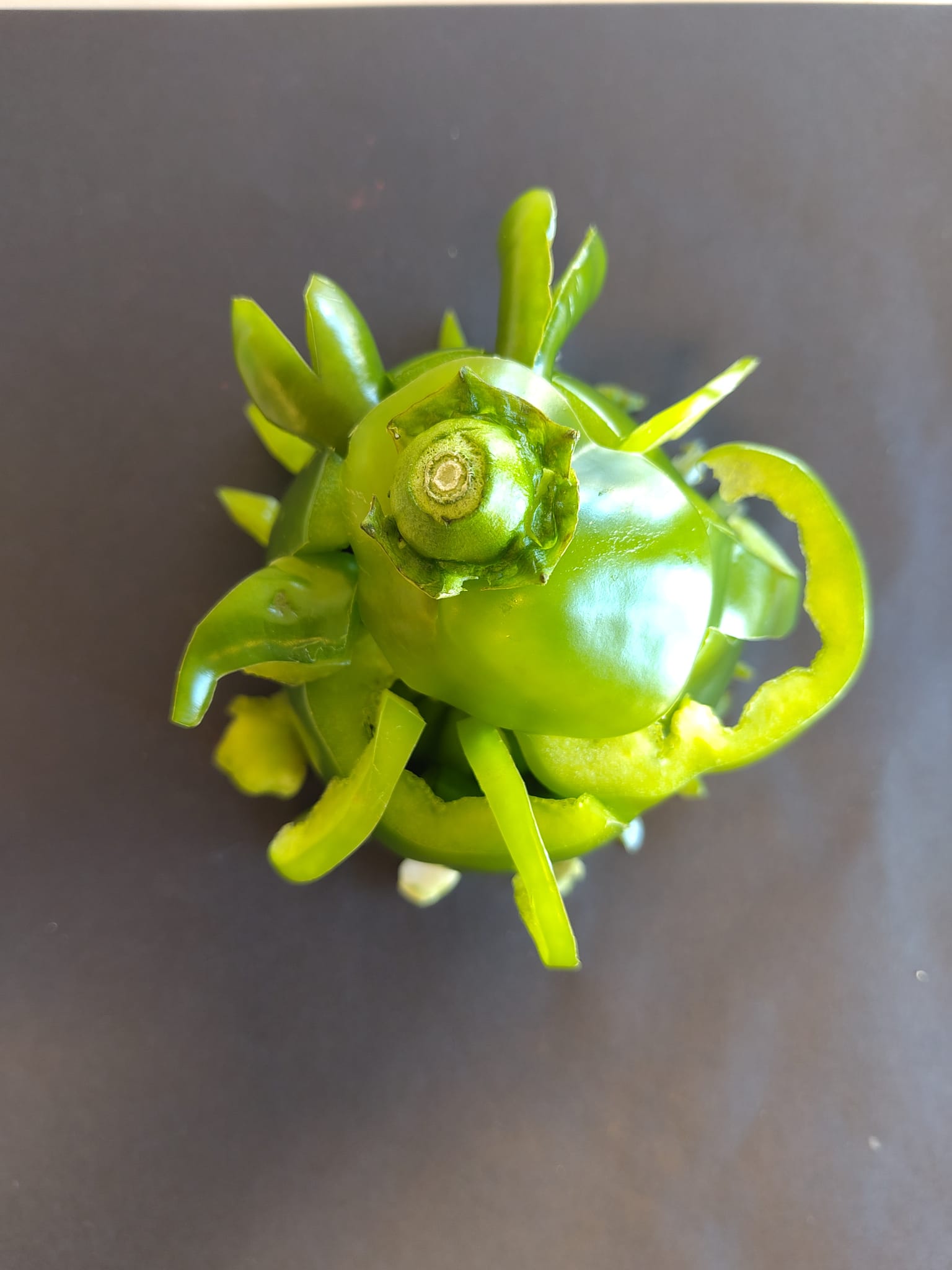 Sculpture potagère